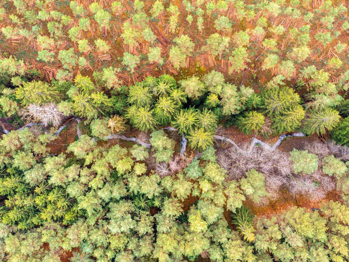 Projektbild_Grenzland_lepschi_web